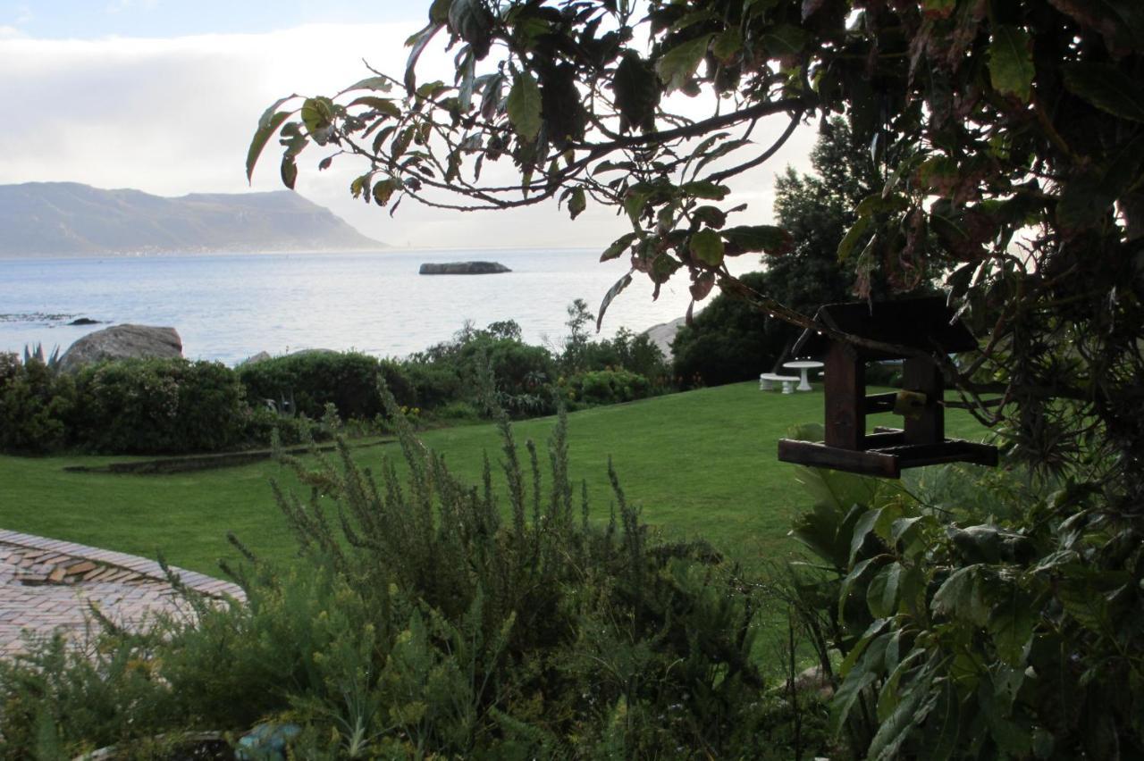 Bosky Dell On Boulders Beach Simonʼs Town Esterno foto