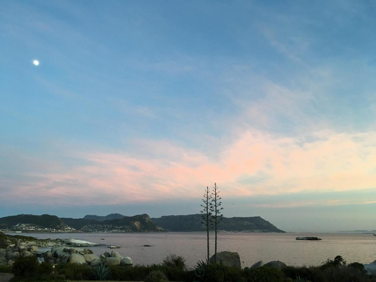 Bosky Dell On Boulders Beach Simonʼs Town Esterno foto