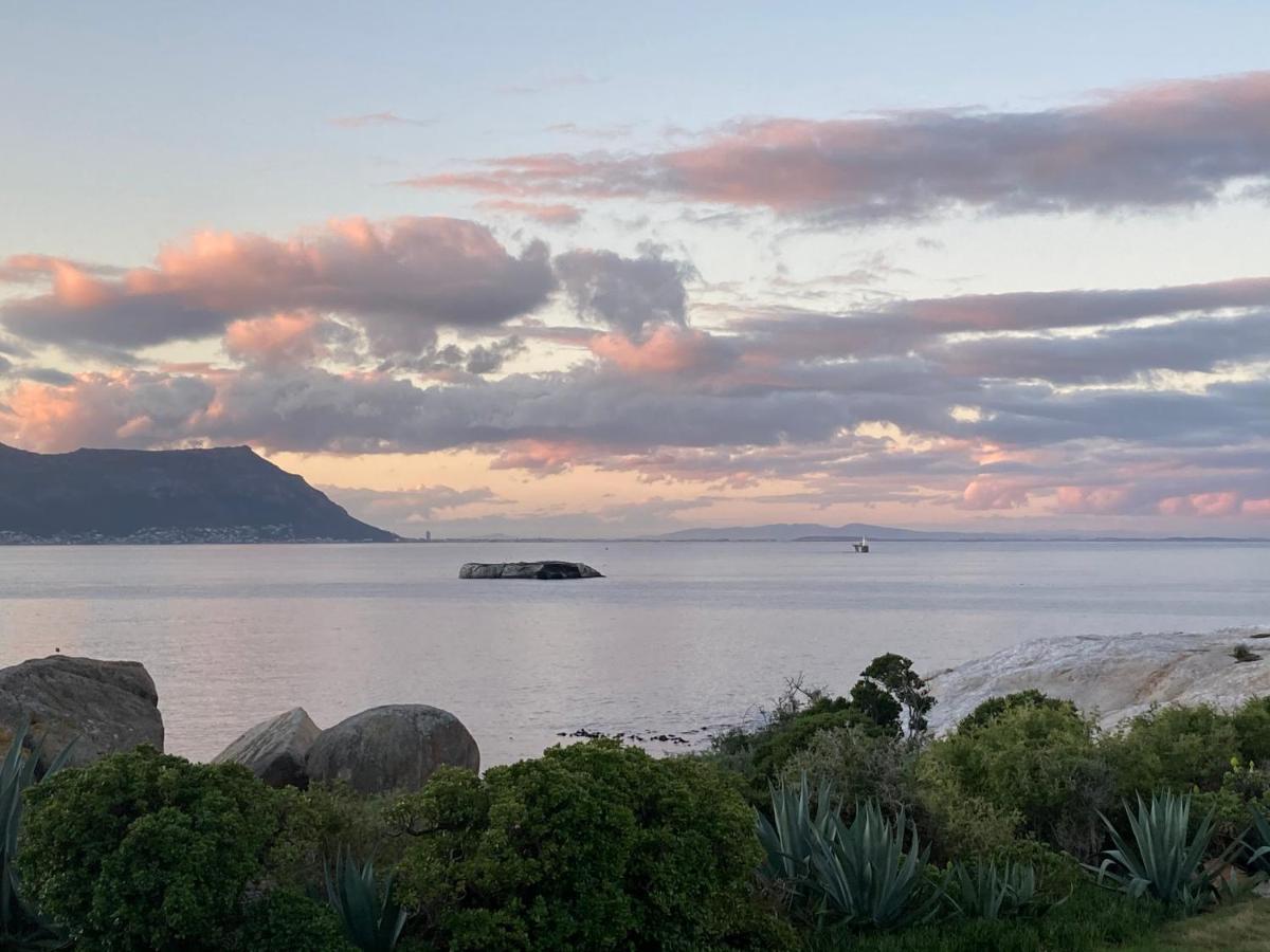 Bosky Dell On Boulders Beach Simonʼs Town Esterno foto