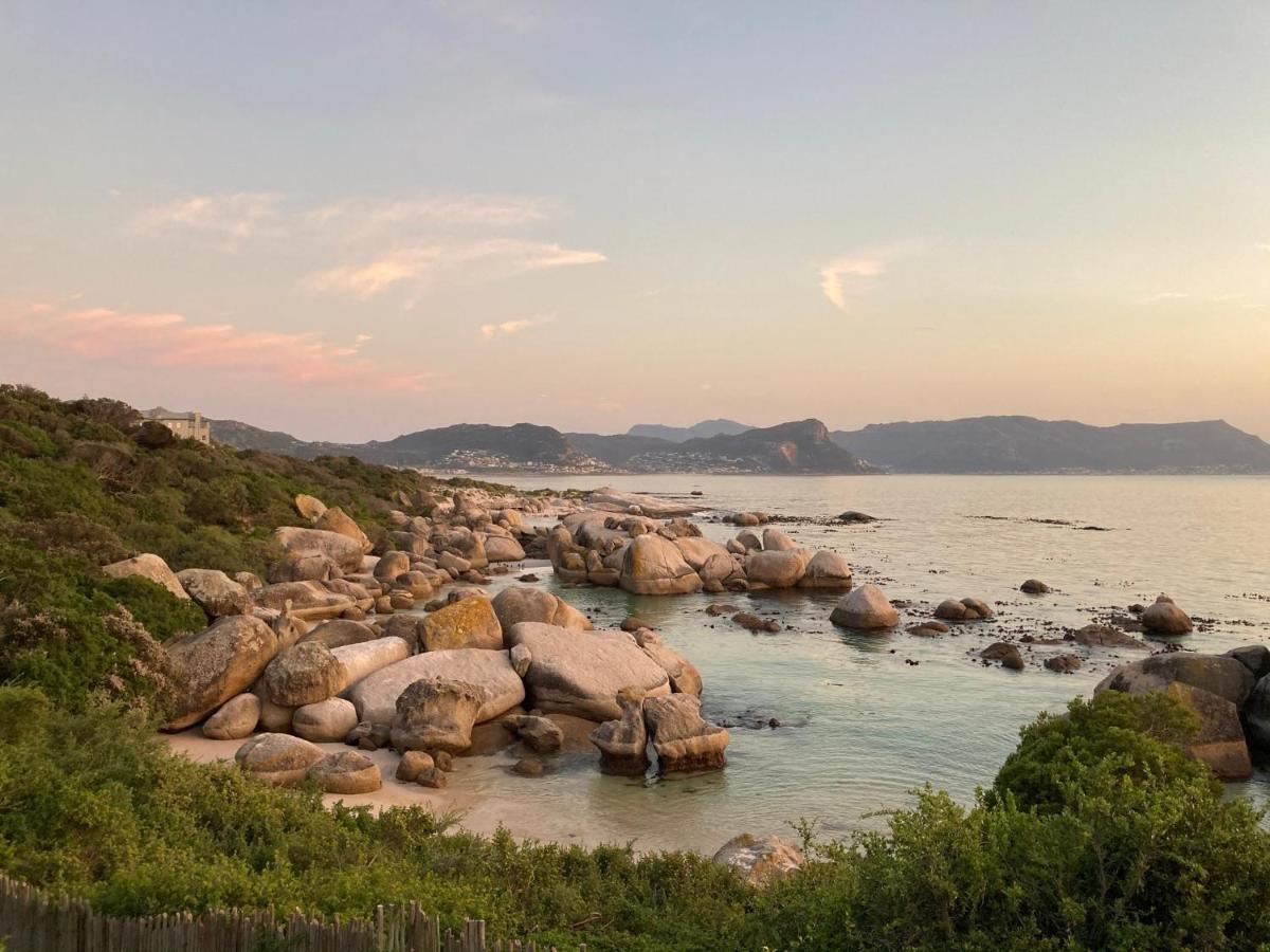 Bosky Dell On Boulders Beach Simonʼs Town Esterno foto