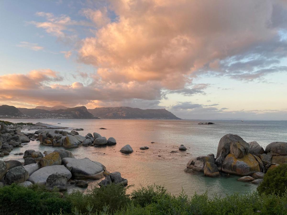 Bosky Dell On Boulders Beach Simonʼs Town Esterno foto