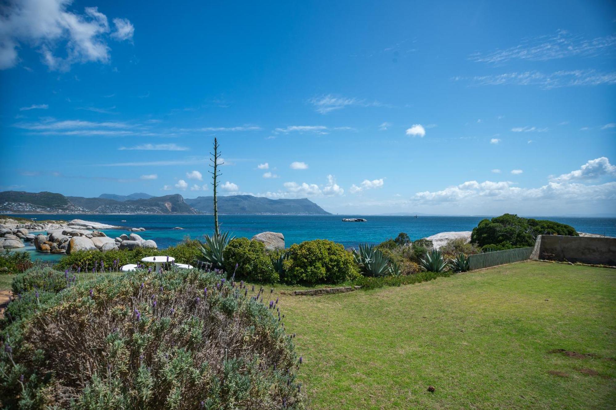 Bosky Dell On Boulders Beach Simonʼs Town Esterno foto
